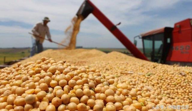 美國(guó)大豆出口大會(huì)閉幕，中國(guó)買(mǎi)家一顆沒(méi)買(mǎi)